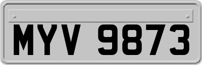 MYV9873