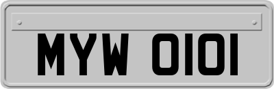 MYW0101