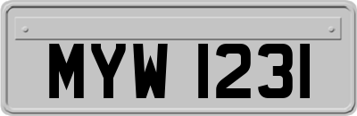 MYW1231