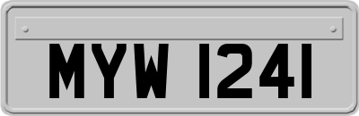 MYW1241