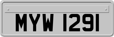 MYW1291