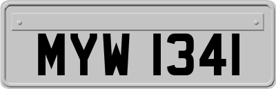 MYW1341