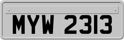MYW2313