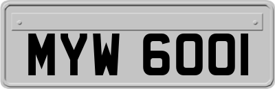 MYW6001