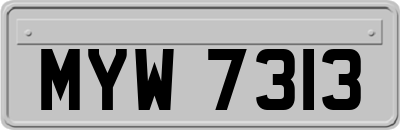 MYW7313