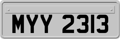 MYY2313