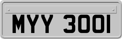MYY3001