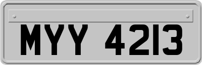 MYY4213