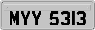 MYY5313
