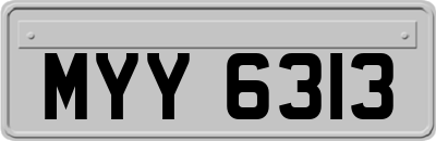 MYY6313