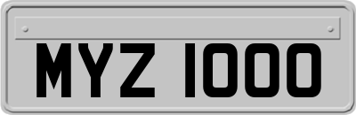 MYZ1000