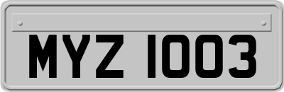 MYZ1003