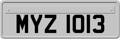 MYZ1013
