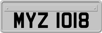 MYZ1018