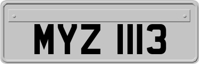 MYZ1113