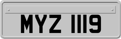 MYZ1119