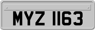 MYZ1163