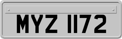 MYZ1172