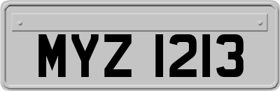 MYZ1213