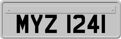 MYZ1241