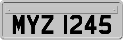 MYZ1245