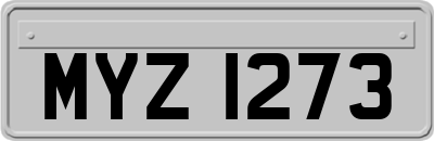 MYZ1273
