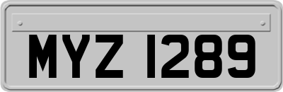 MYZ1289