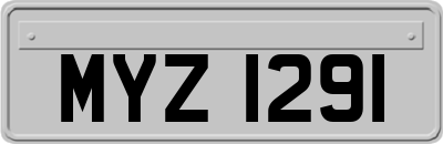 MYZ1291
