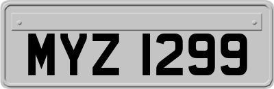MYZ1299