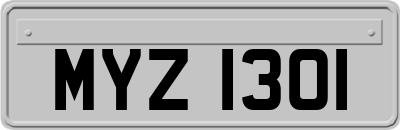 MYZ1301