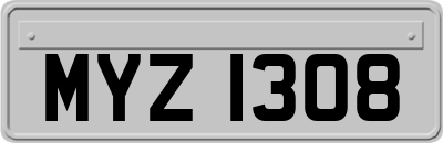 MYZ1308