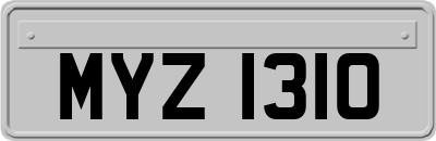 MYZ1310