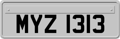 MYZ1313