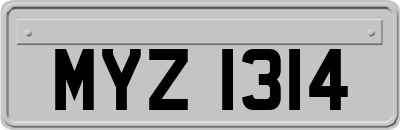 MYZ1314