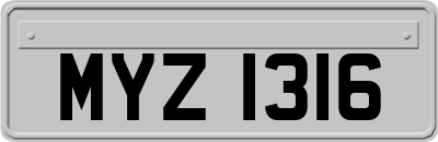 MYZ1316