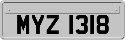 MYZ1318