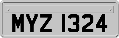 MYZ1324