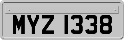 MYZ1338