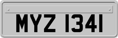 MYZ1341