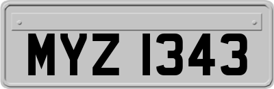 MYZ1343