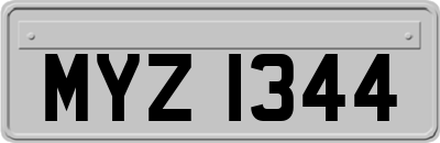 MYZ1344