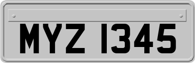 MYZ1345