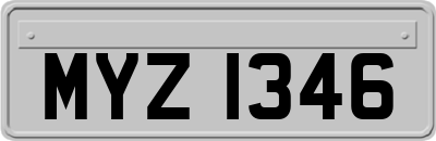 MYZ1346