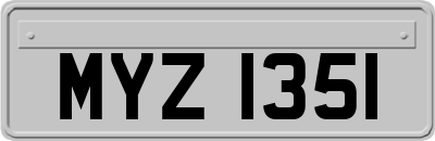 MYZ1351