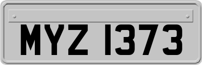 MYZ1373