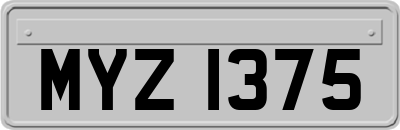 MYZ1375