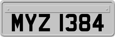 MYZ1384