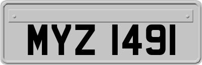 MYZ1491