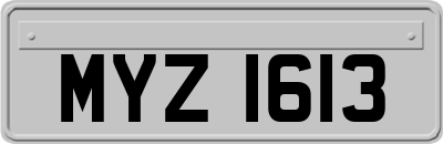 MYZ1613