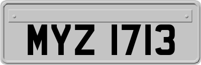 MYZ1713